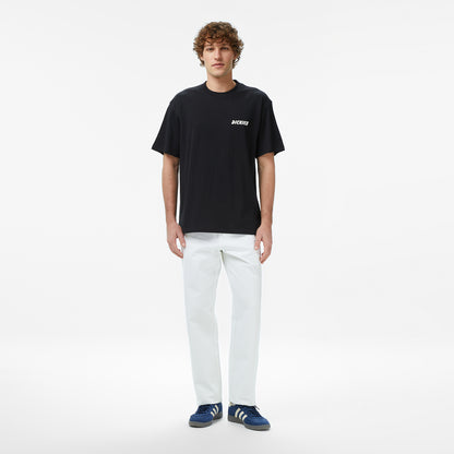 Dickies Dry Ridge Erkek Siyah T-shirt