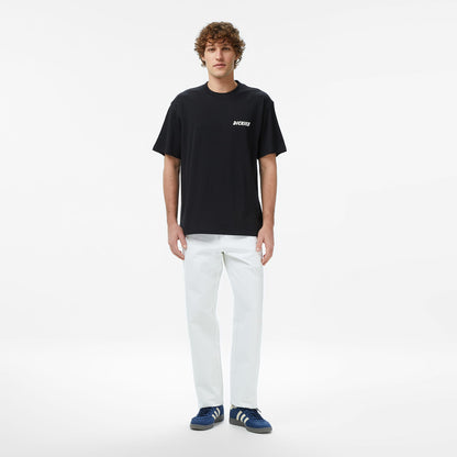 Dickies Dry Ridge Erkek Siyah T-shirt