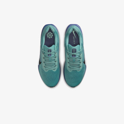 Nike Air Winflo 11 Erkek Siyah Koşu Ayakkabısı