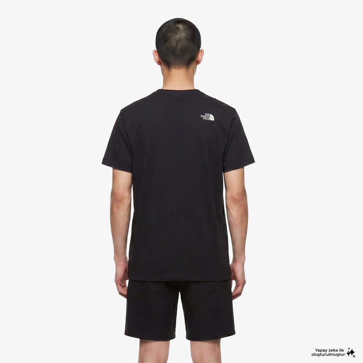 The North Face Evolution Box Half Dome Regular Erkek Siyah T-shirt
