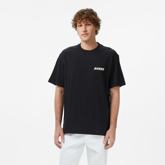 Dickies Dry Ridge Erkek Siyah T-shirt