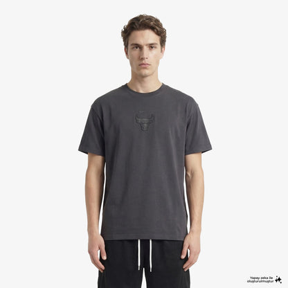 Nike Chicago Bulls Premium Erkek Gri T-shirt