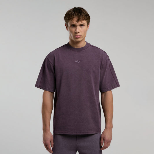 Everlast Bronx 1910 Oversize Erkek Mor T-shirt