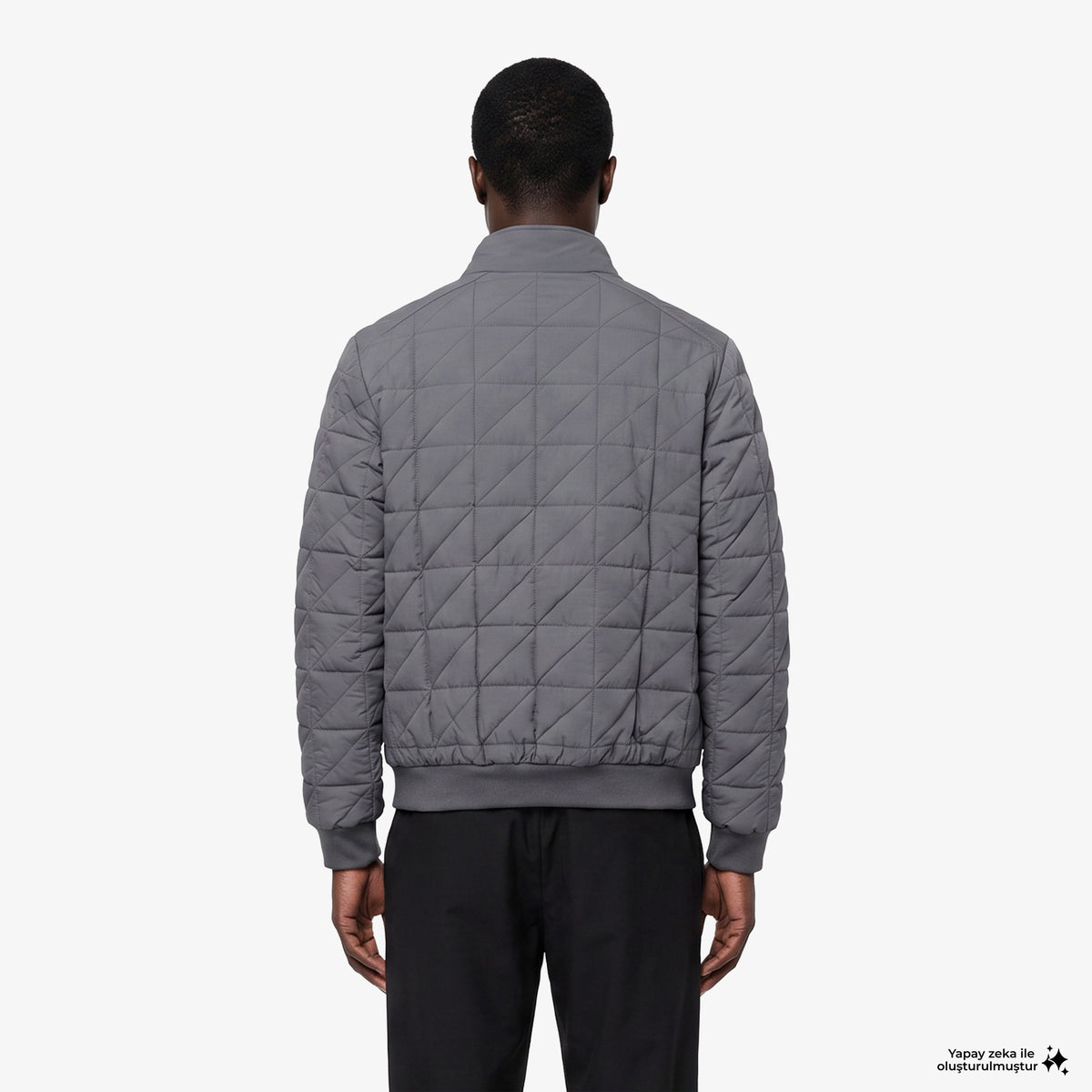 Lacoste Regular Fit Erkek Gri Mont