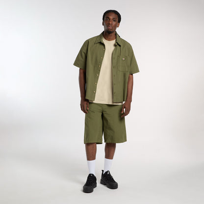 Dickies Vernal Erkek Yeşil Gömlek