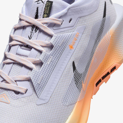 Nike Pegasus Trail 5 Gore-tex Kadın Gri Koşu Ayakkabısı