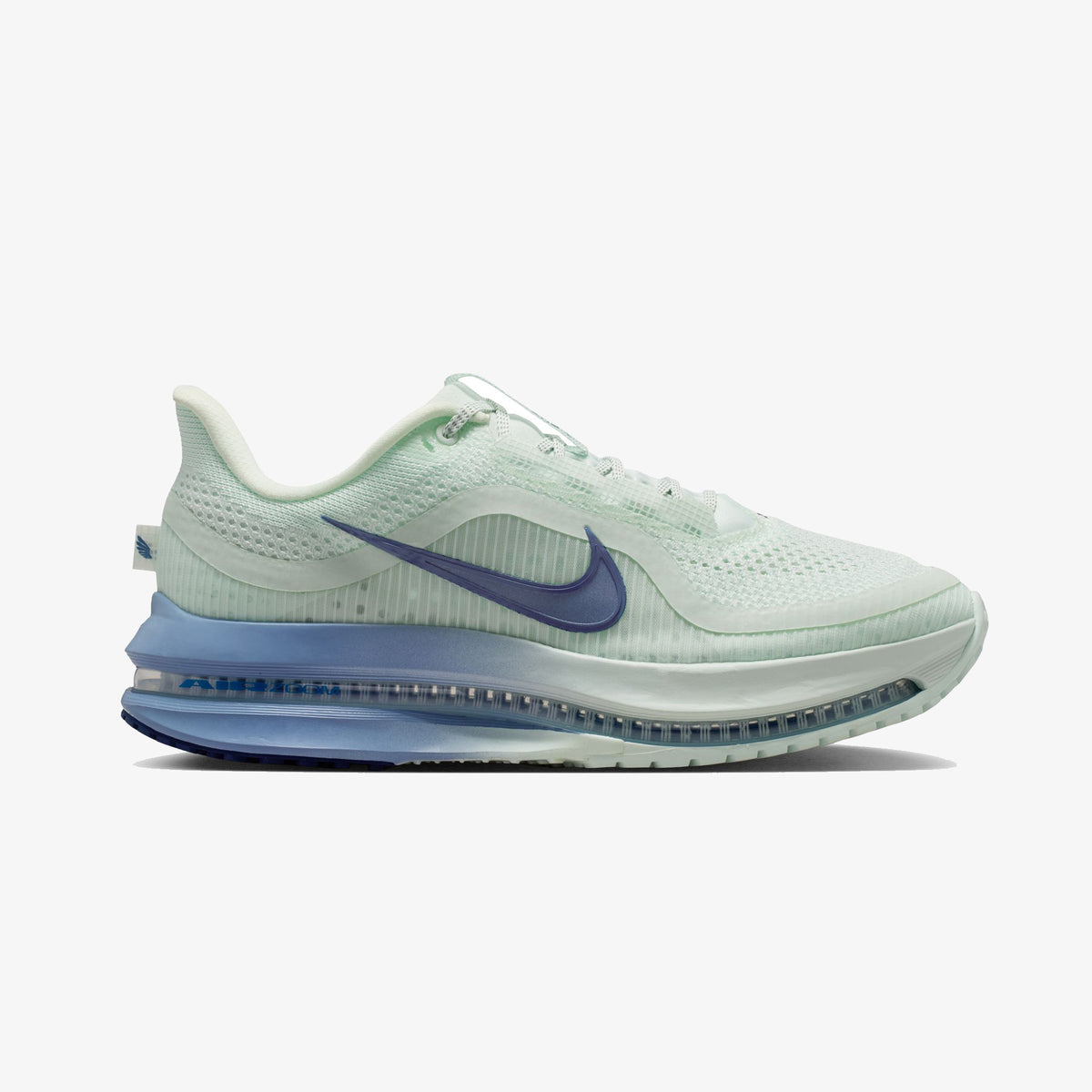 Nike Pegasus Premium Kadın Gri Koşu Ayakkabısı