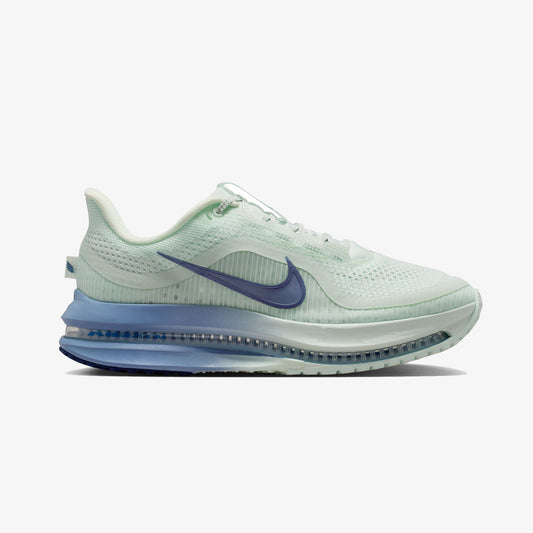 Nike Pegasus Premium Kadın Gri Koşu Ayakkabısı