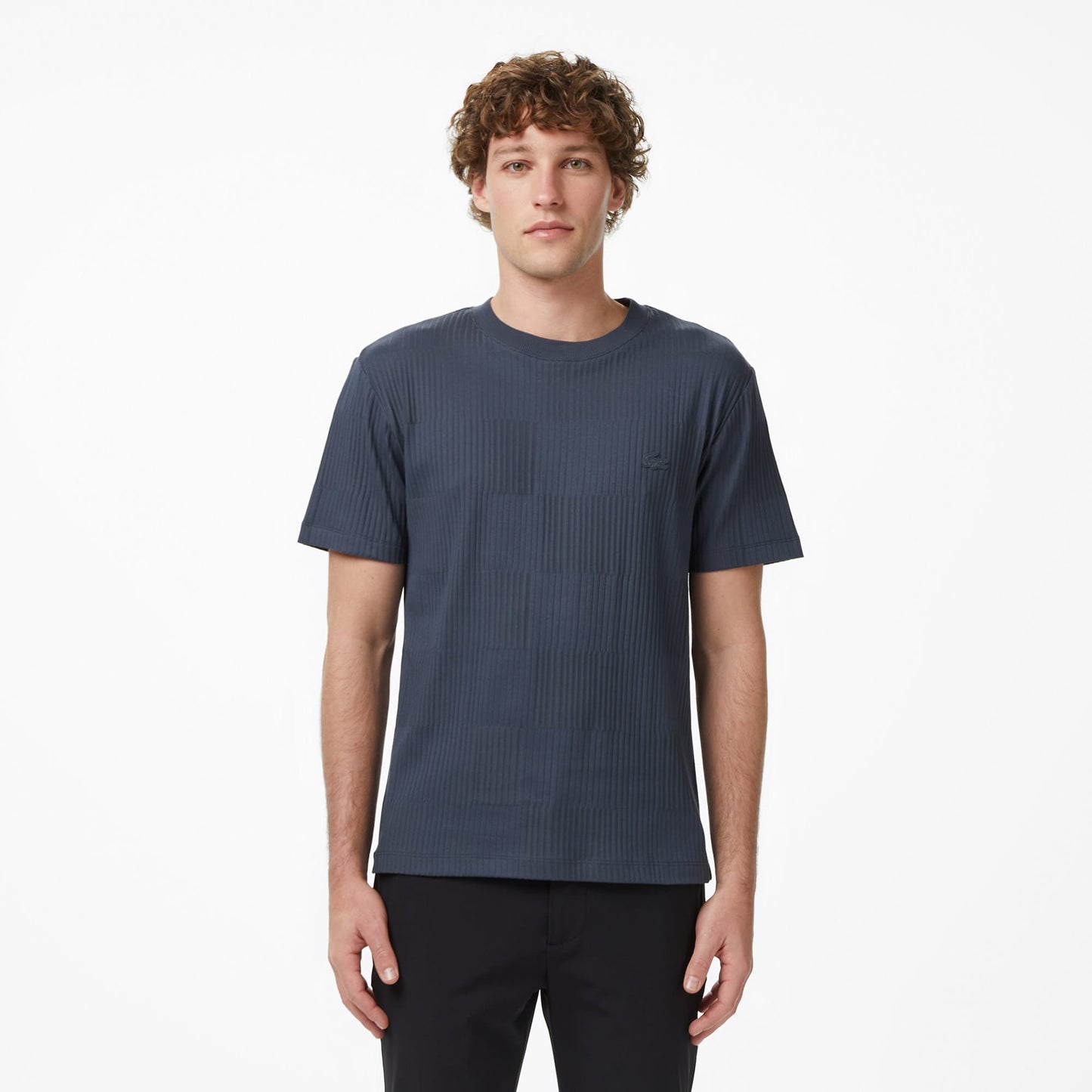 Lacoste Erkek Regular Fit Bisiklet Yaka Çizgili Koyu Gri T-shirt