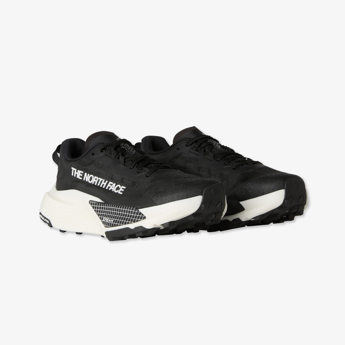 The North Face Altamesa 500 V2 Kadın Siyah Koşu Ayakkabısı