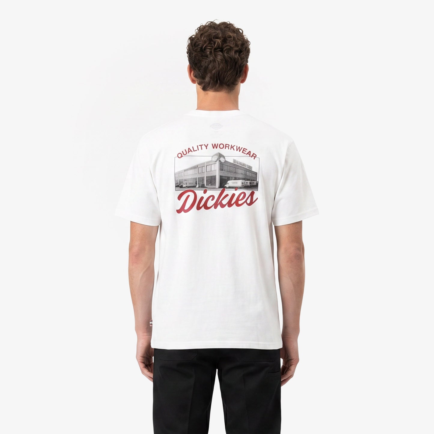 Dickies Wellsville Erkek Beyaz T-shirt