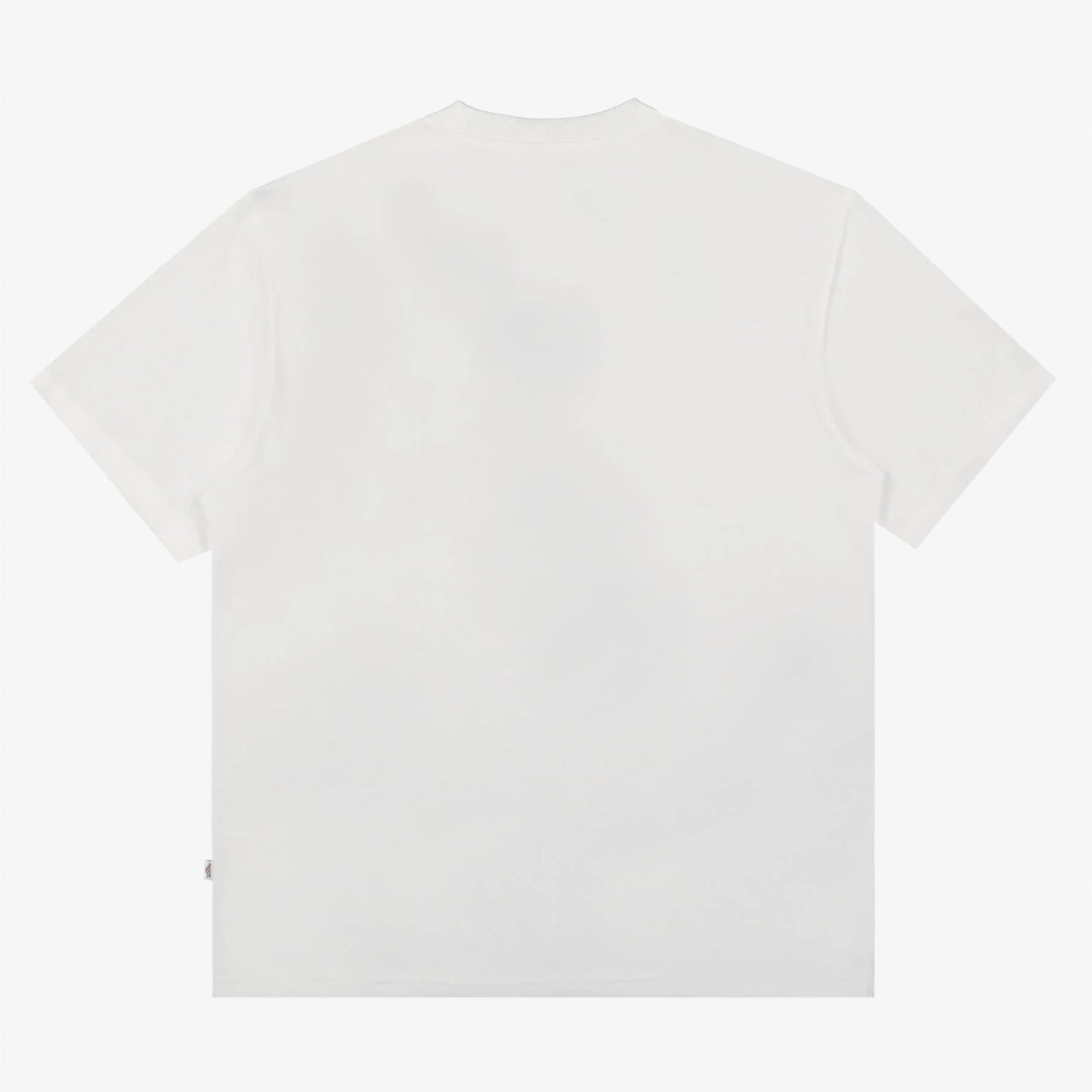 Dickies Summerdale Ss Erkek Beyaz T-shirt