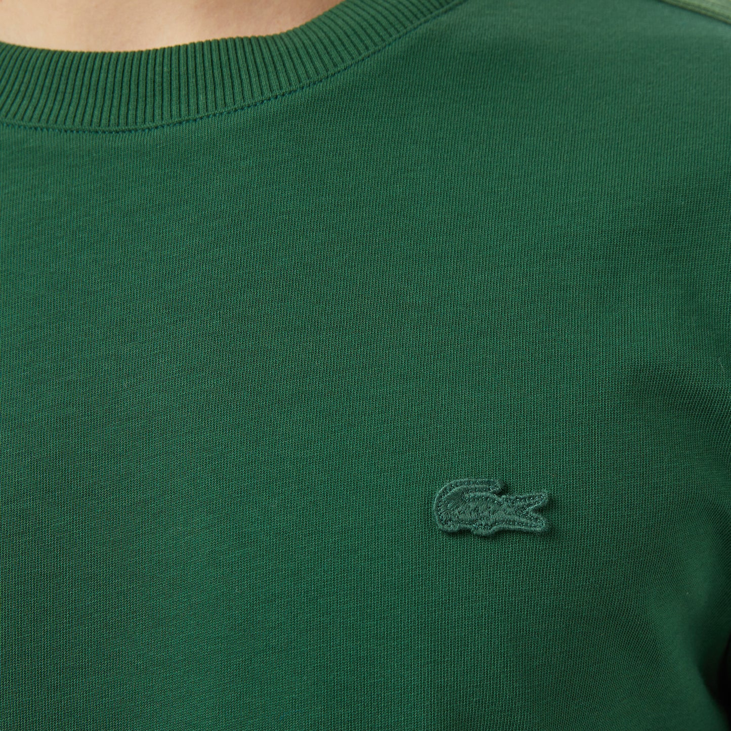 Lacoste Erkek Regular Fit Bisiklet Yaka Koyu Yeşil T-shirt