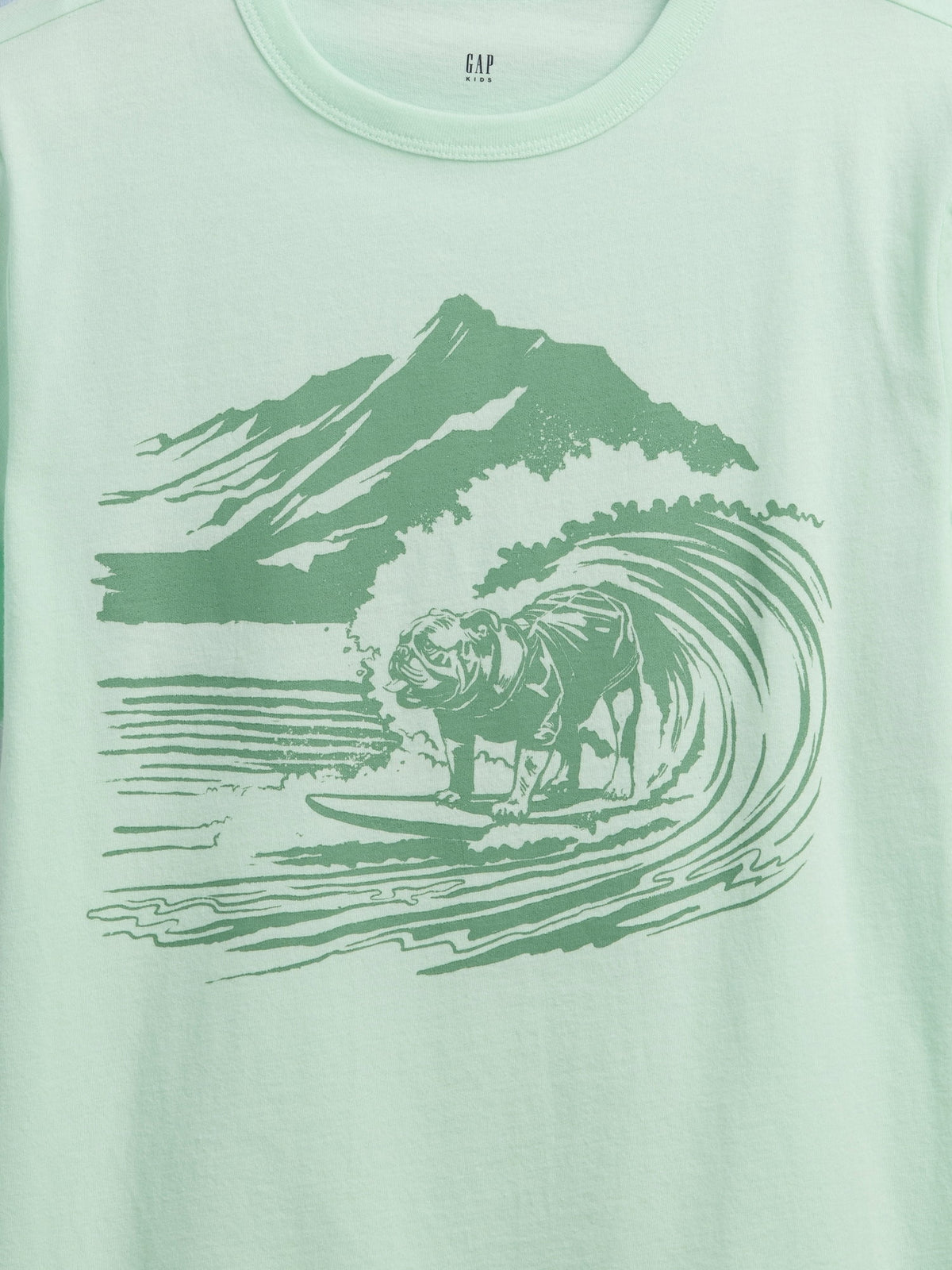 Yeşil Grafik Baskılı T-shirt (2’li)
