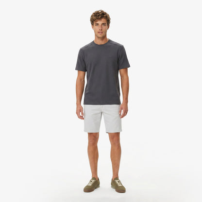 Lacoste Slim Fit Erkek Gri Şort