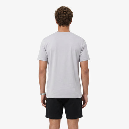 Lacoste Regular Fit Erkek Gri T-shirt