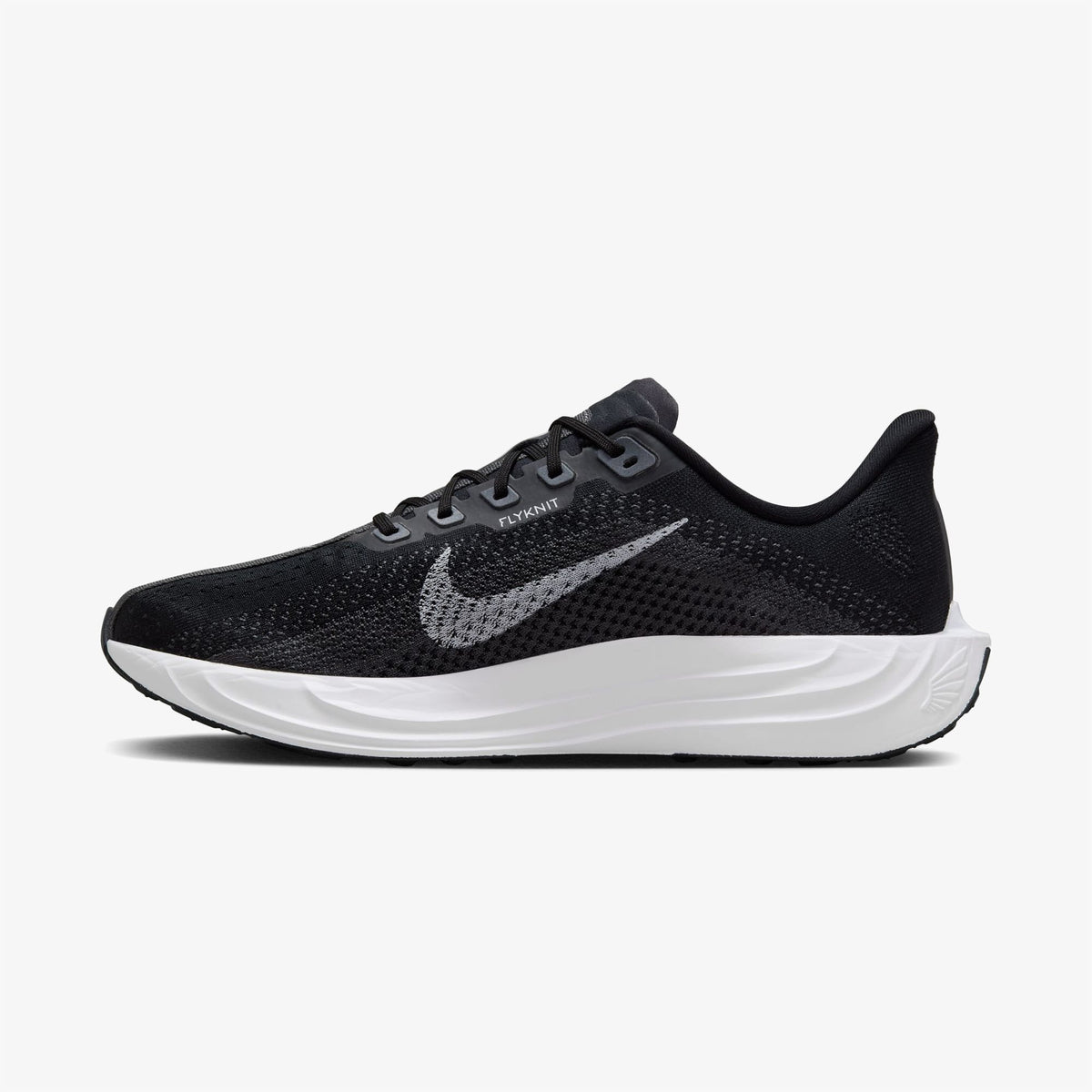 Nike Pegasus Plus Erkek Siyah Koşu Ayakkabısı