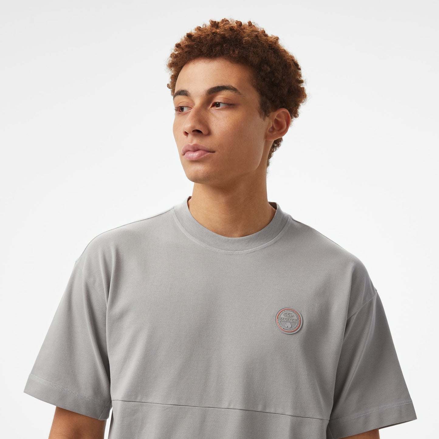 Napapijri  S-anghiari Ss Erkek Gri T-shirt