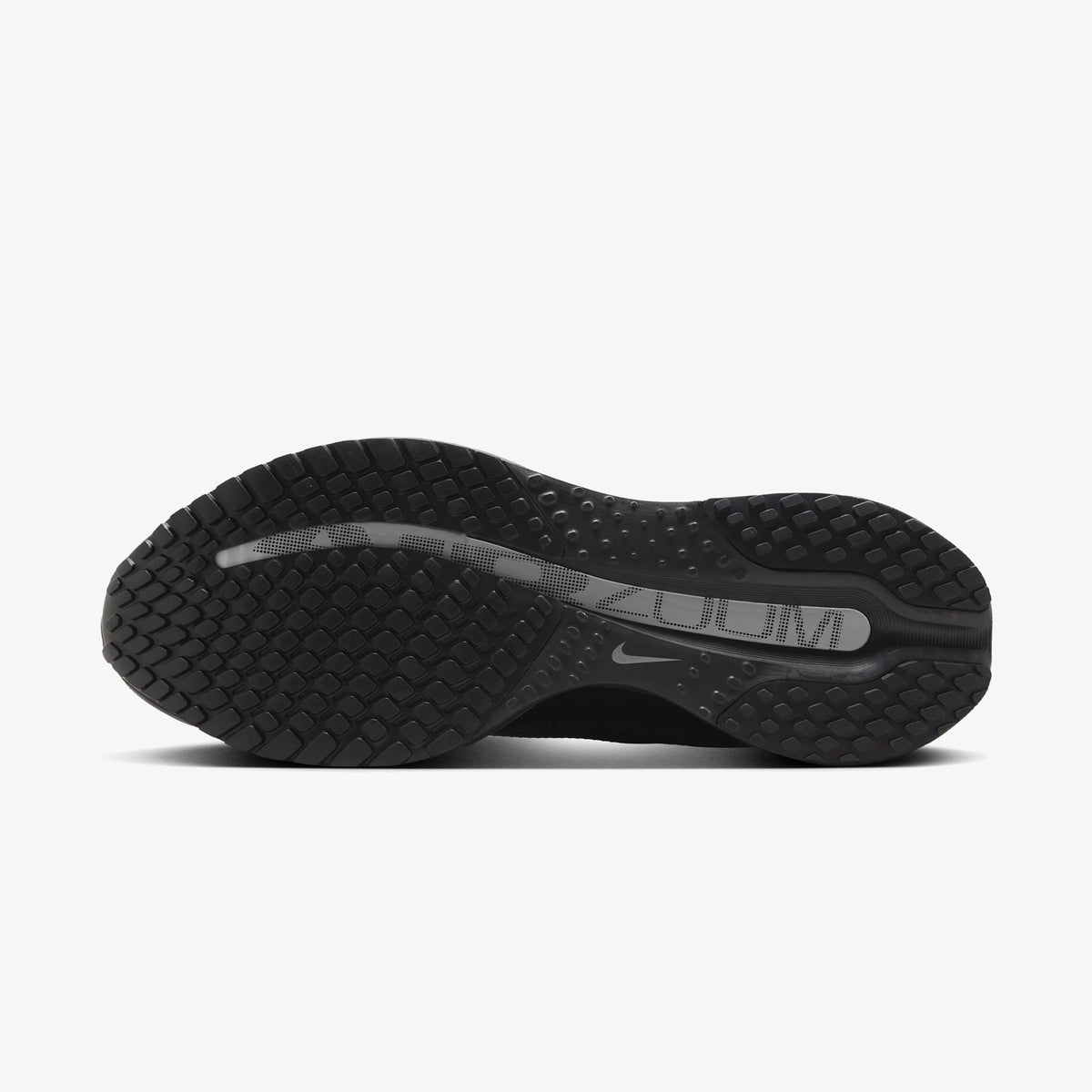 Nike Pegasus Premium Erkek Siyah Koşu Ayakkabısı