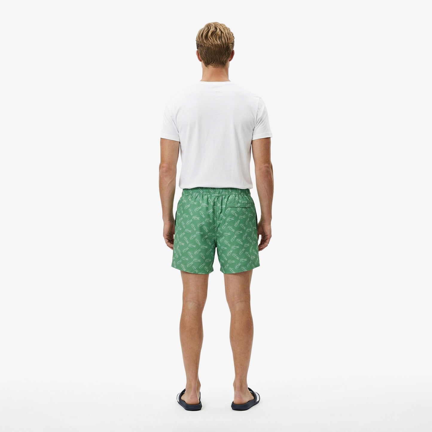 Lacoste Regular Fit Erkek Yeşil Şort