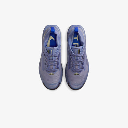 Nike Pegasus Trail 5 Gore-tex Kadın Mavi Koşu Ayakkabısı