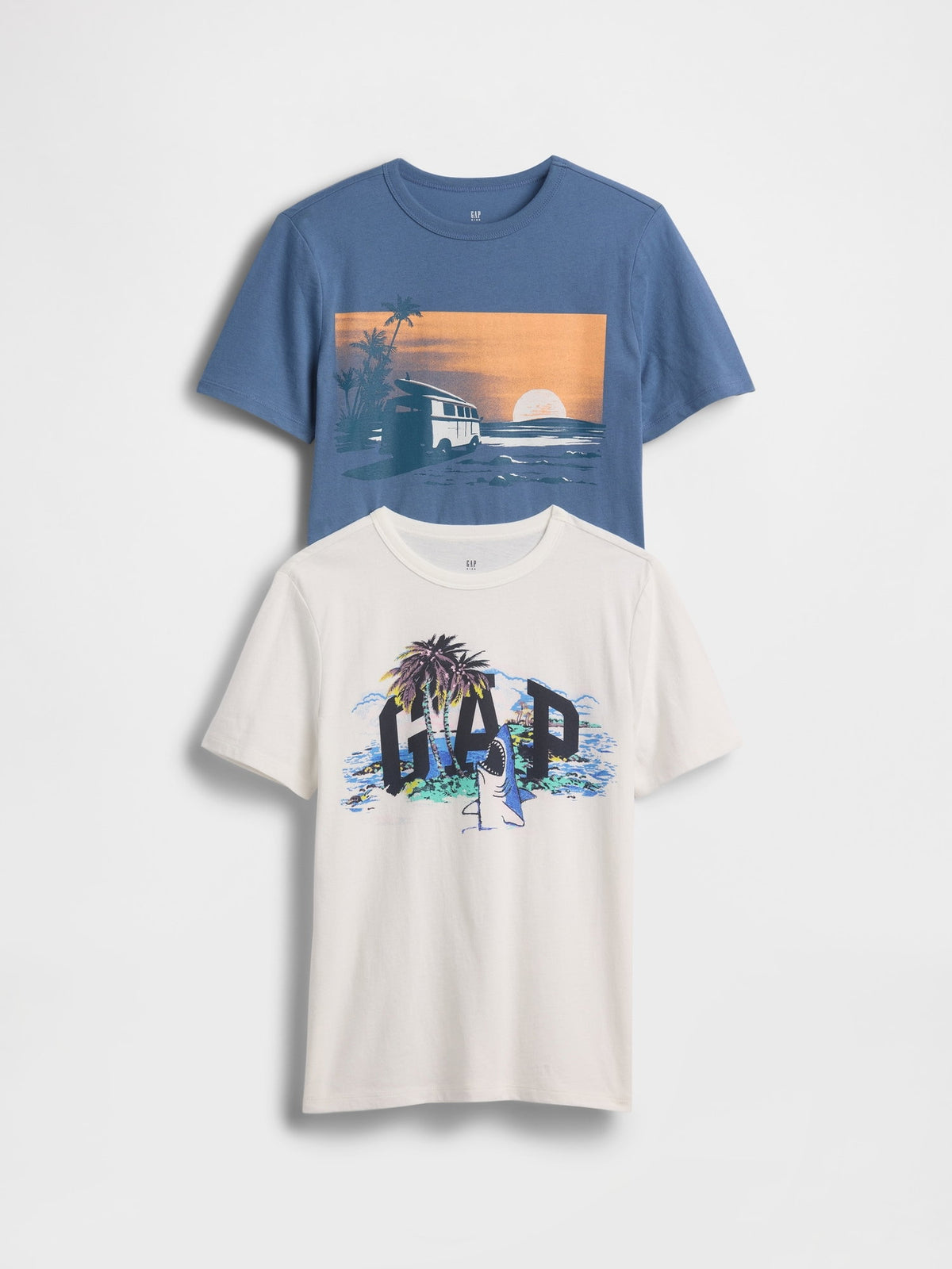 Mavi Grafik Baskılı T-shirt (2’li)