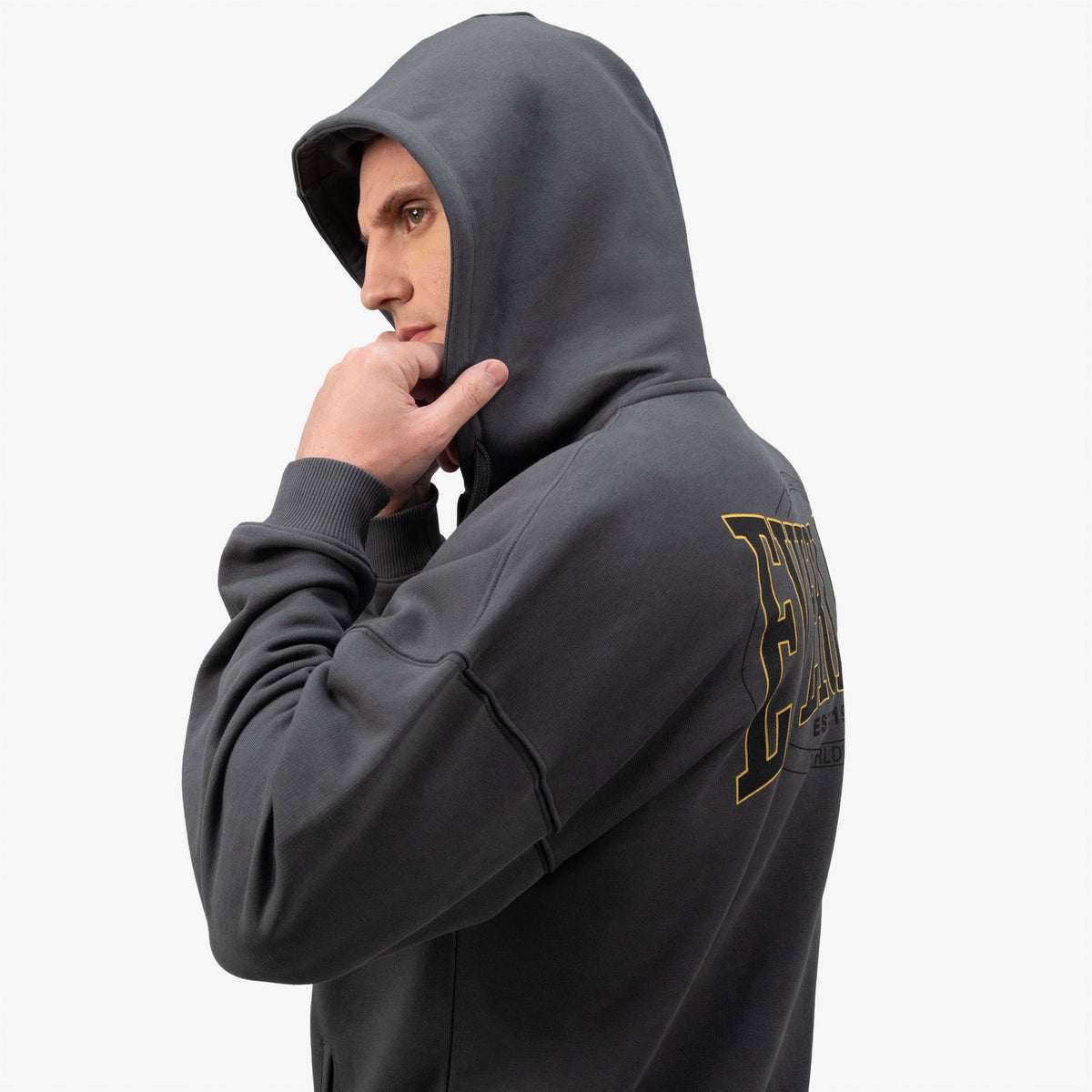 Everlast Authentic Boxing 2.0 Gri Fermuarlı Erkek Sweatshirt