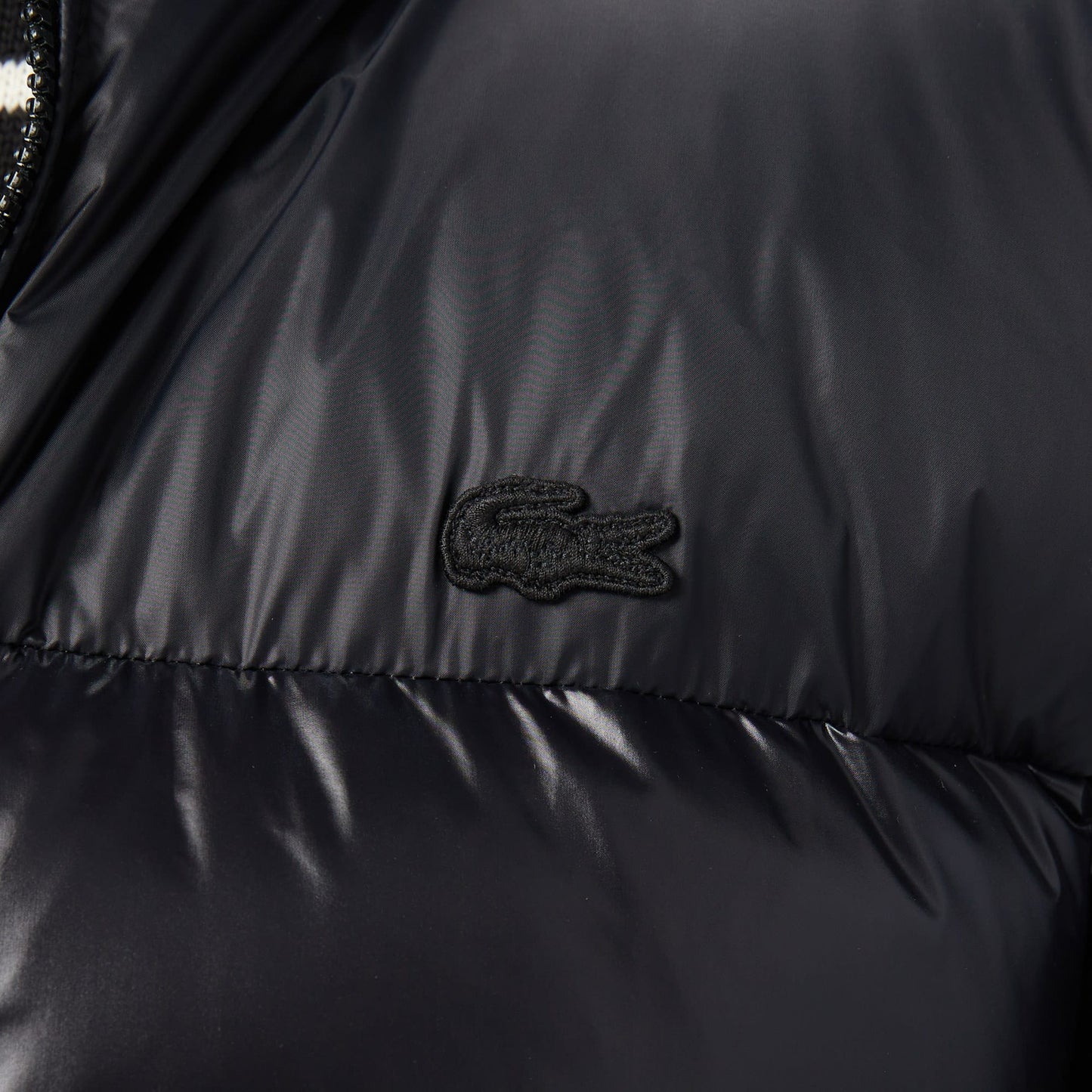 Lacoste Relaxed Fit Erkek Siyah Mont