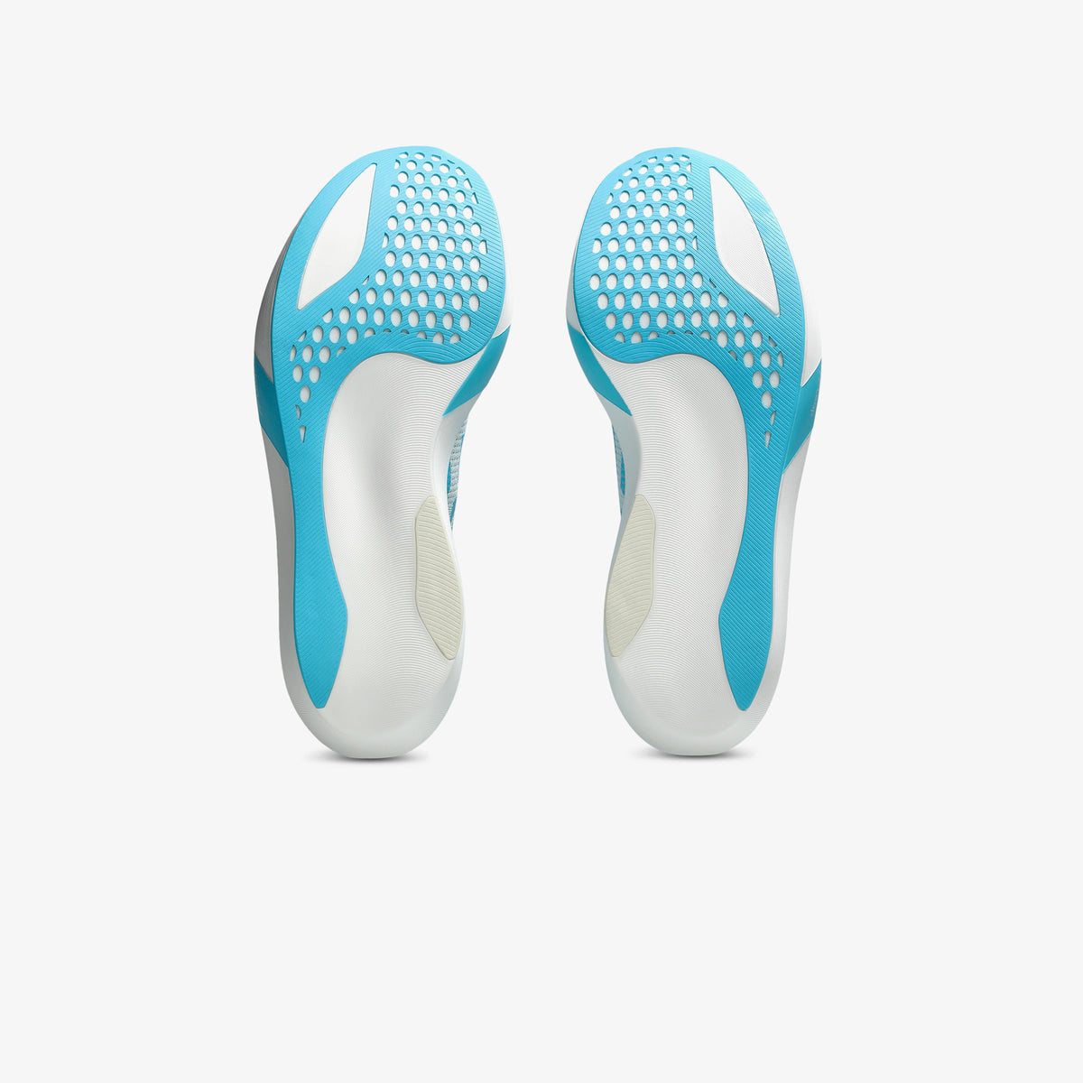 Asics Metaspeed Sky Tokyo Erkek Mavi Koşu Ayakkabısı
