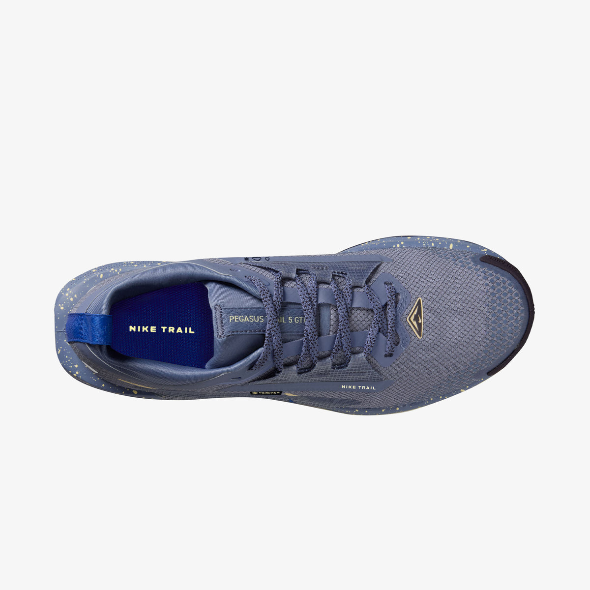Nike Pegasus Trail 5 Gore-tex Kadın Mavi Koşu Ayakkabısı