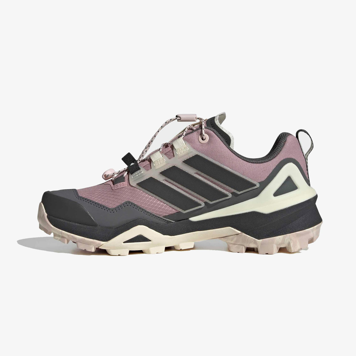 Adidas Terrex Skychaser Gtx Kadın Siyah Koşu Ayakkabısı