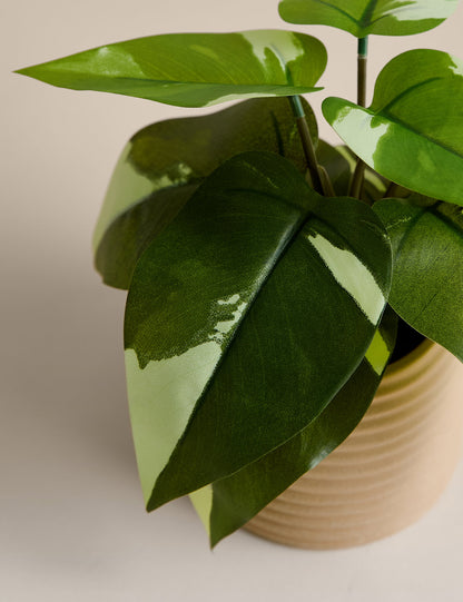 Kalp Yapraklı Filodendron Seramik Saksılı Yapay Bitki