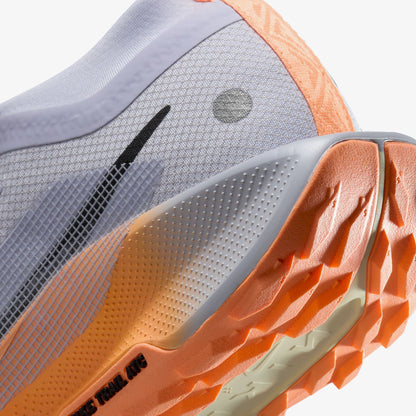 Nike Pegasus Trail 5 Gore-tex Kadın Gri Koşu Ayakkabısı
