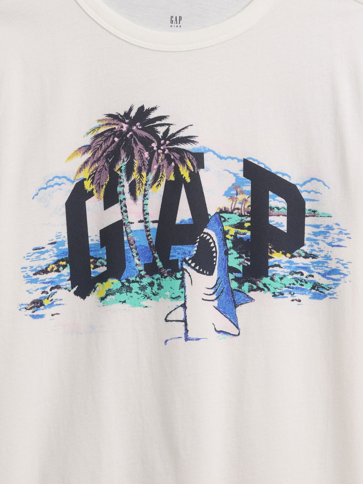 Mavi Grafik Baskılı T-shirt (2’li)