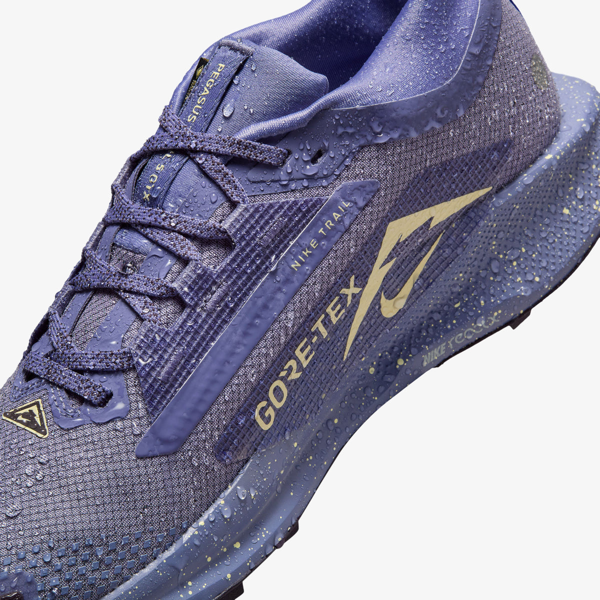 Nike Pegasus Trail 5 Gore-tex Kadın Mavi Koşu Ayakkabısı