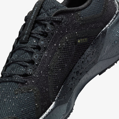 Nike Pegasus 41 Gore-tex Kadın Siyah Koşu Ayakkabısı
