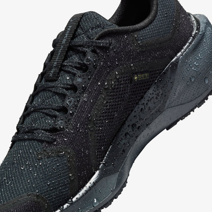 Nike Pegasus 41 Gore-tex Kadın Siyah Koşu Ayakkabısı
